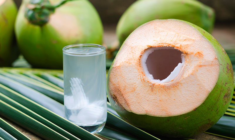 Coco Verde: sugestões para consumir a fruta por inteiro | Blog |  Obahortifruti