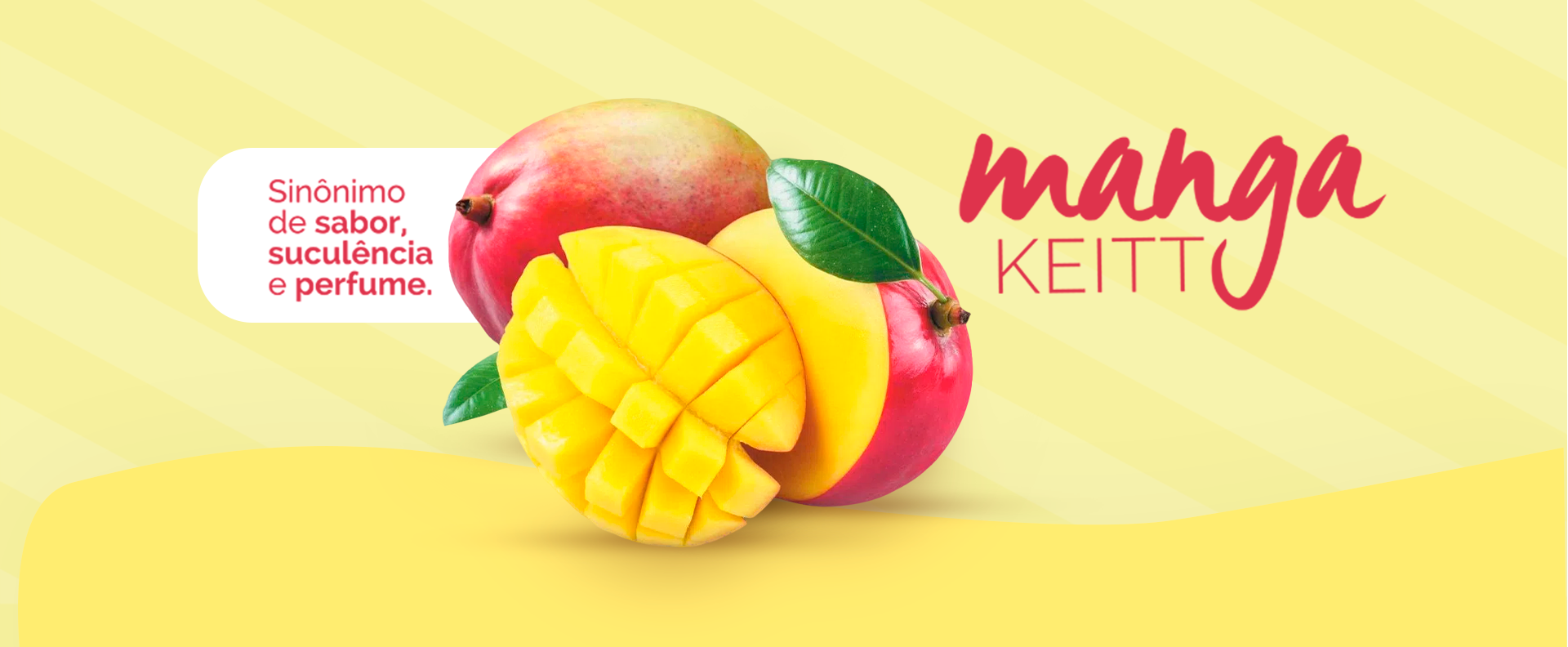 Fruta do Mês Manga Keitt: sinônimo de sabor, suculência e perfume, Blog
