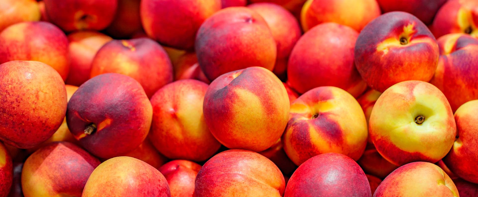 Nectarina: frescor, sabor e saúde na fruta da estação